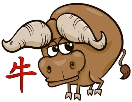 属牛一生都不会改变的性格是什么?