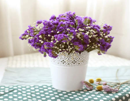 双鱼座的幸运花是什么花?