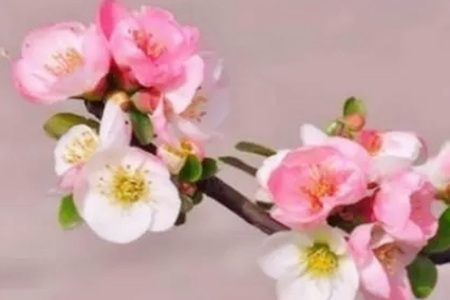 八字如何看是否花心