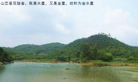 如何识别文曲水星?