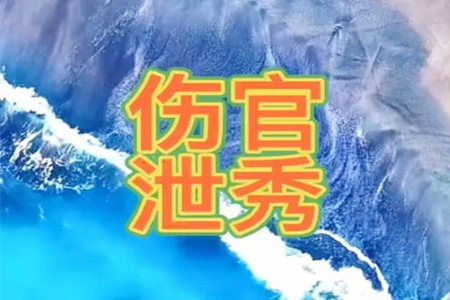 八字伤官泄秀是几等命呢?