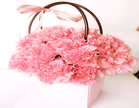 摩羯座的幸运花是什么花?