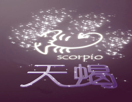 11月4日是什么星座?