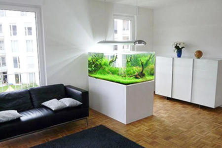 家里鱼缸风水问题