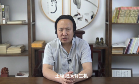 八字中戊土离不开甲木是什么意思呢？