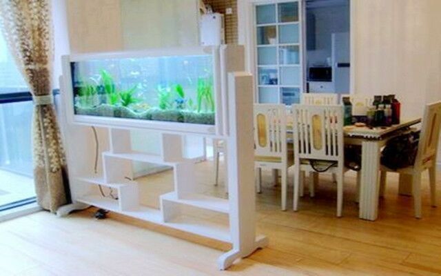 鱼缸在家居摆放位置的风水吉凶