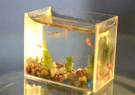 客厅摆放鱼缸的风水布局