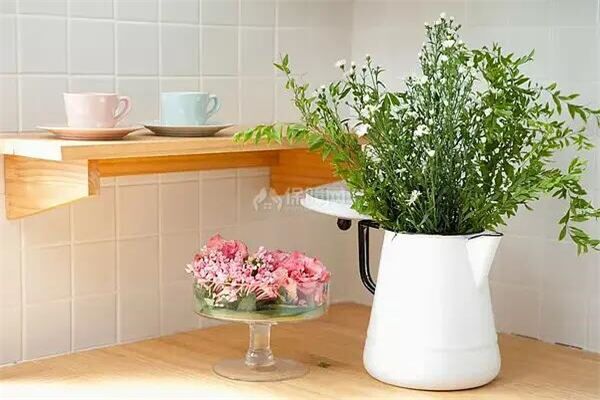 适合在厨房养植的植物
