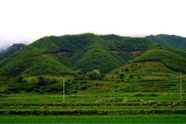 在风水上真龙结穴有哪些特征