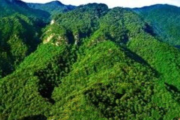 风水中的形与势