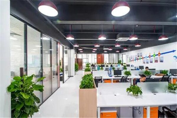 办公室招财植物的摆放讲究