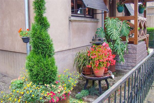 住宅植物五行与人的关系