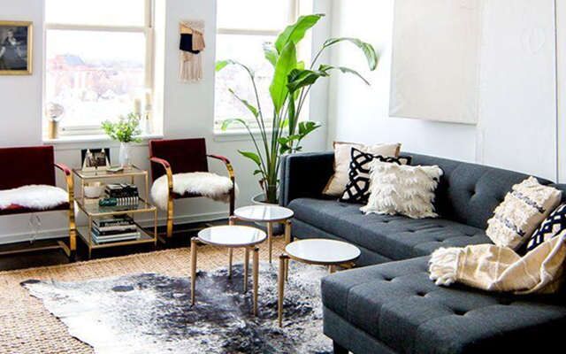 家居布局风水旺财植物