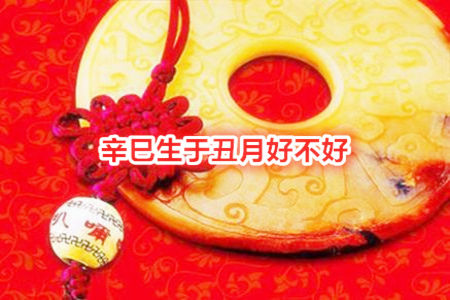 辛巳生于丑月好不好?