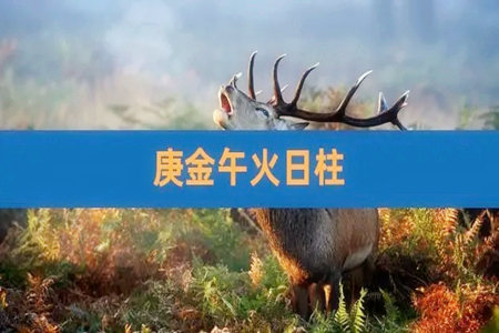 庚午日柱的特征有哪些?