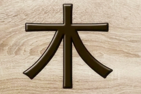 八字木多容易得什么病？