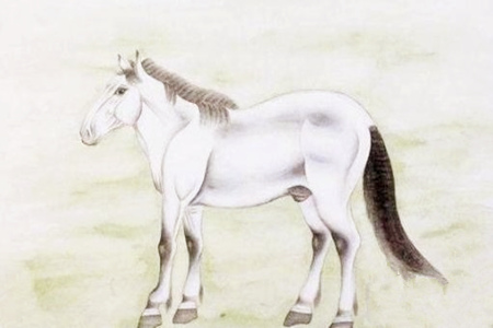 八字马星的用法有哪些？