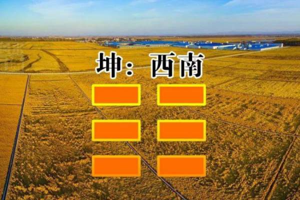 坤卦代表身体什么部位?