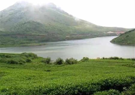 农村坟地风水注意禁忌