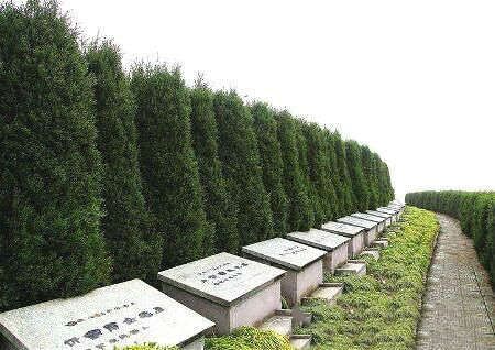 选择公墓有什么讲究