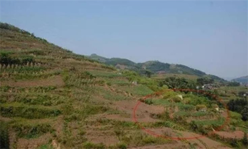 墓地位置选择技巧