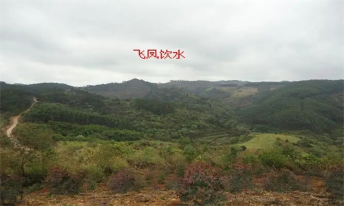 阴宅风水中的水要注意什么