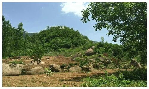 农村房屋附近有坟墓风水好吗