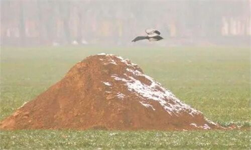 雨淋新坟必出贵人