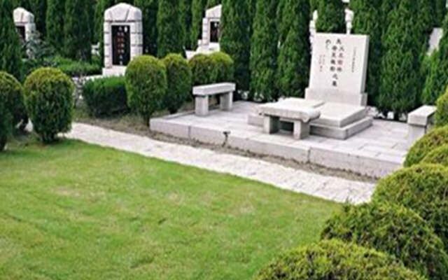 坟墓周围种树有什么风水讲究