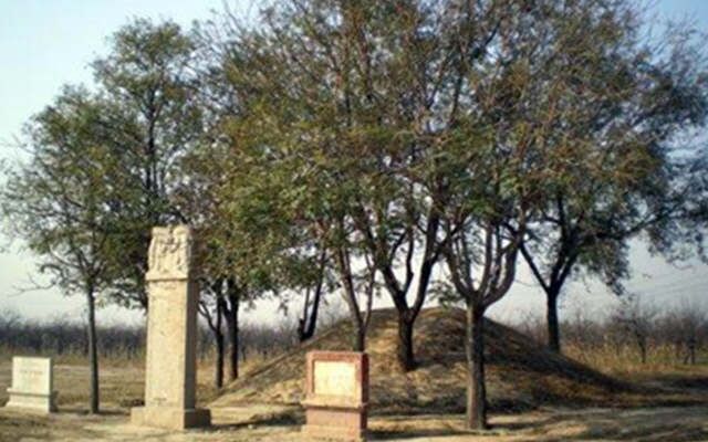 坟墓周围种树有什么风水讲究