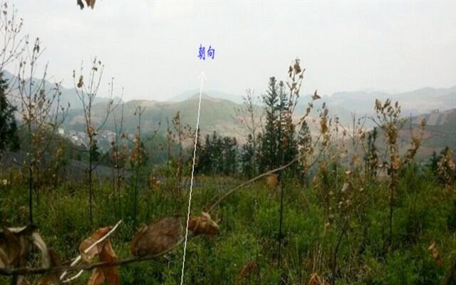 坟墓朝向东北好吗