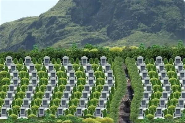 选公墓要注意什么风水