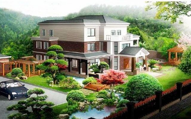 适合种在别墅庭院的风水树