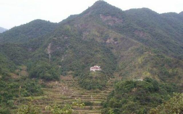 好的祖坟风水需要几年才能见效