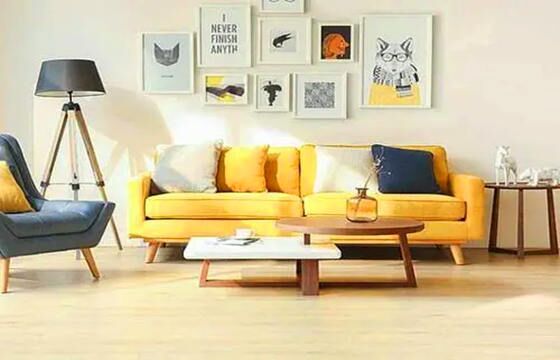 客厅招财的沙发颜色