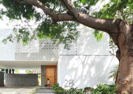 住宅西北方有树不能砍