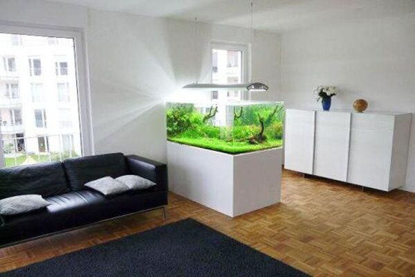 关于家居催财旺财的风水