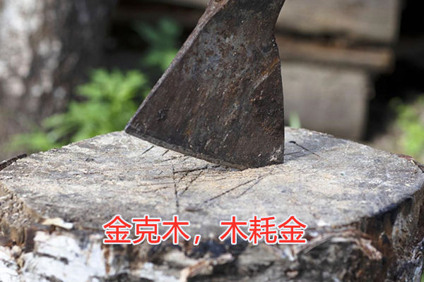 五行之间的相互关系有哪些?