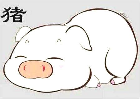 2019本命年要注意什么