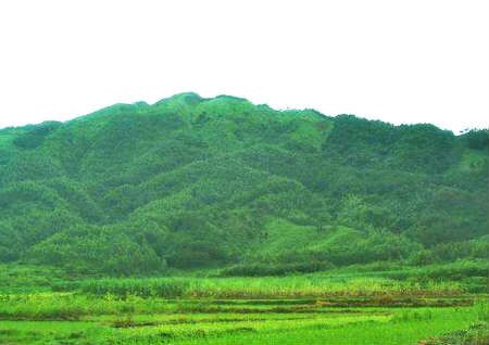 祖坟风水禁忌大全