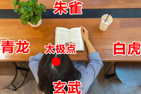 四灵局在室内还是室外？