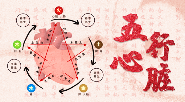 为什么说心脏是阳中之阳?