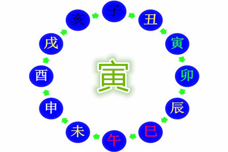 十二地支寅木的特点有哪些?