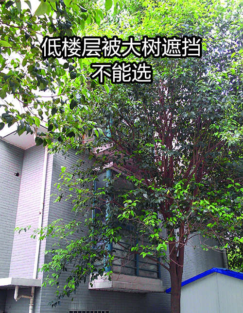 风水楼层高好还是低好?