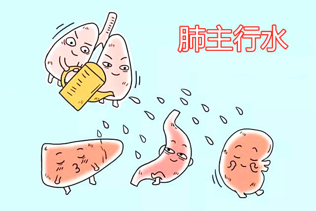 风水家里哪个方位管肺?