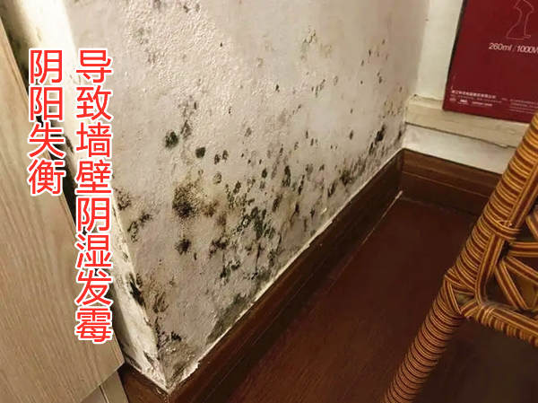 家里墙壁发霉会影响风水吗?