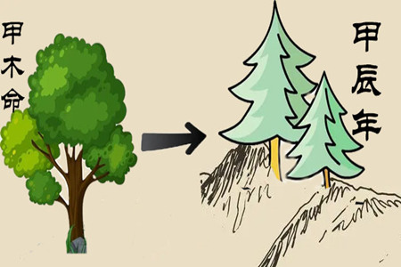 甲木命2024年运势好不好?