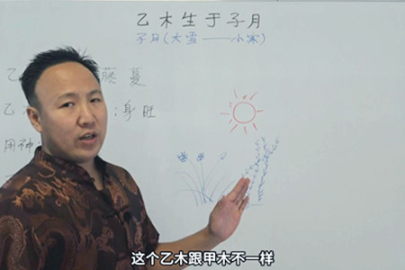 乙木生于子月