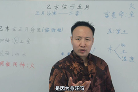 乙木生于丑月