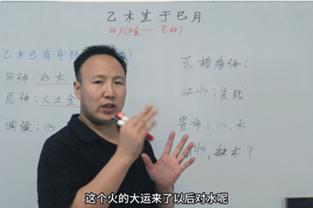 乙木生于巳月